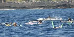 a group of people swimming in a body of water