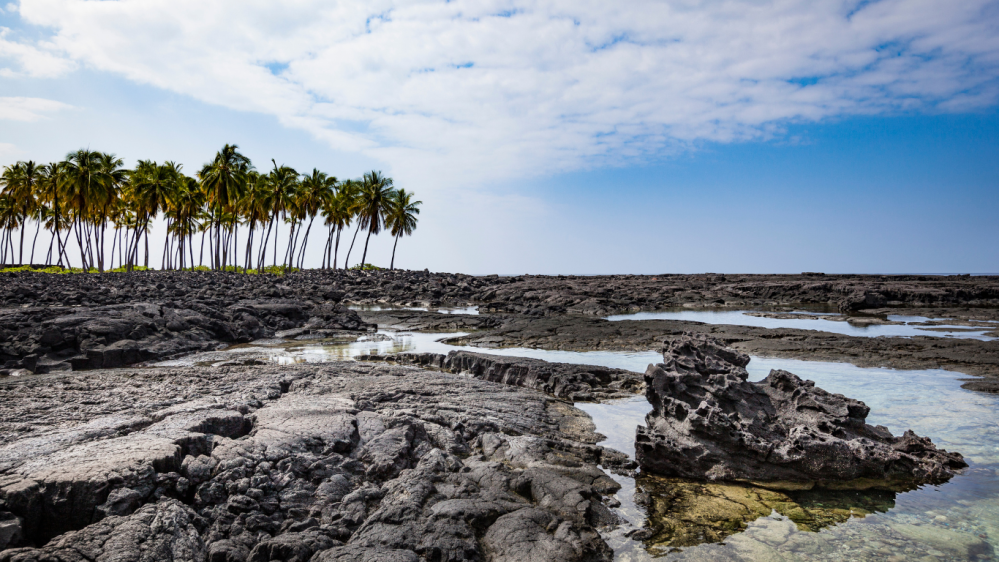 kealakekua bay, a great snorkeling spot on the big island